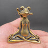 KUNGFU MEDITATING FROG