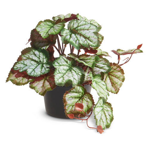 FAUX POTTED ALUMROOT PLANT 9.5"