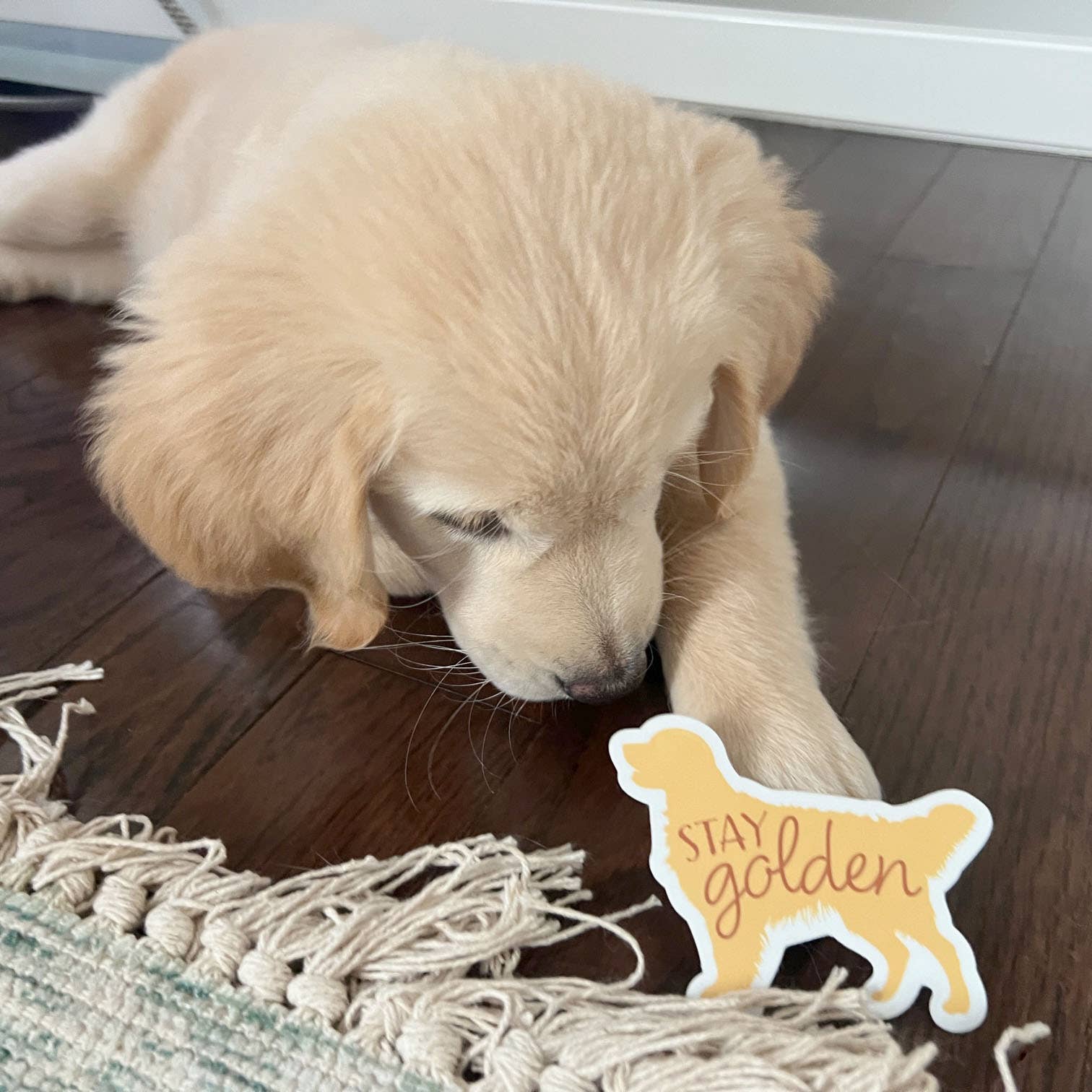 STAY GOLDEM - CUTE GOLDEN RETRIEVER DOG STICKER