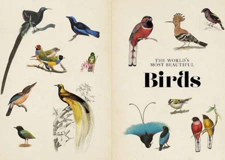 VINTAGE BIRDS