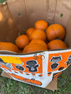 All Size Classic Orange Pumpkin