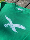 FLYING EAGLES PULLOVER SWEATER