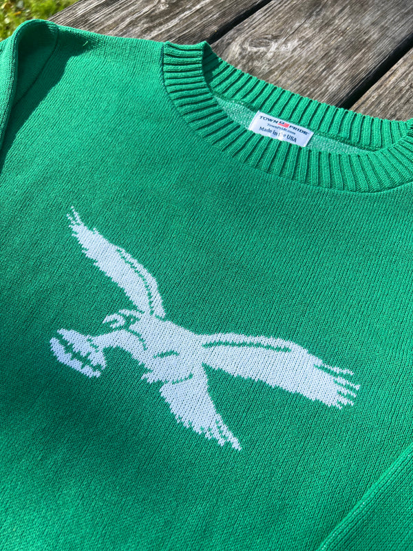 FLYING EAGLES PULLOVER SWEATER