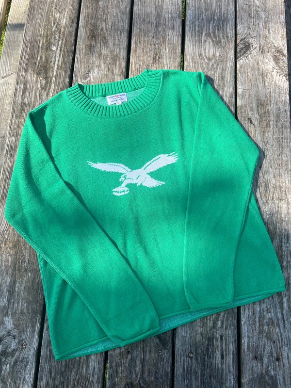 FLYING EAGLES PULLOVER SWEATER