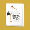 SPECIAL DELIVERY STORK BABY NEWBORN CONGRATS GREETING CARD