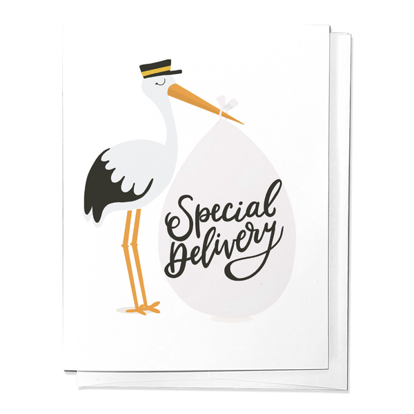 SPECIAL DELIVERY STORK BABY NEWBORN CONGRATS GREETING CARD