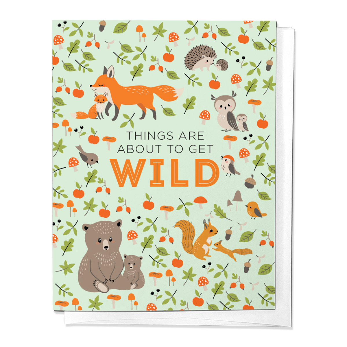 THINGS ARE ABOUT TO GET WILD NEWBORN BABY GREETING CARD