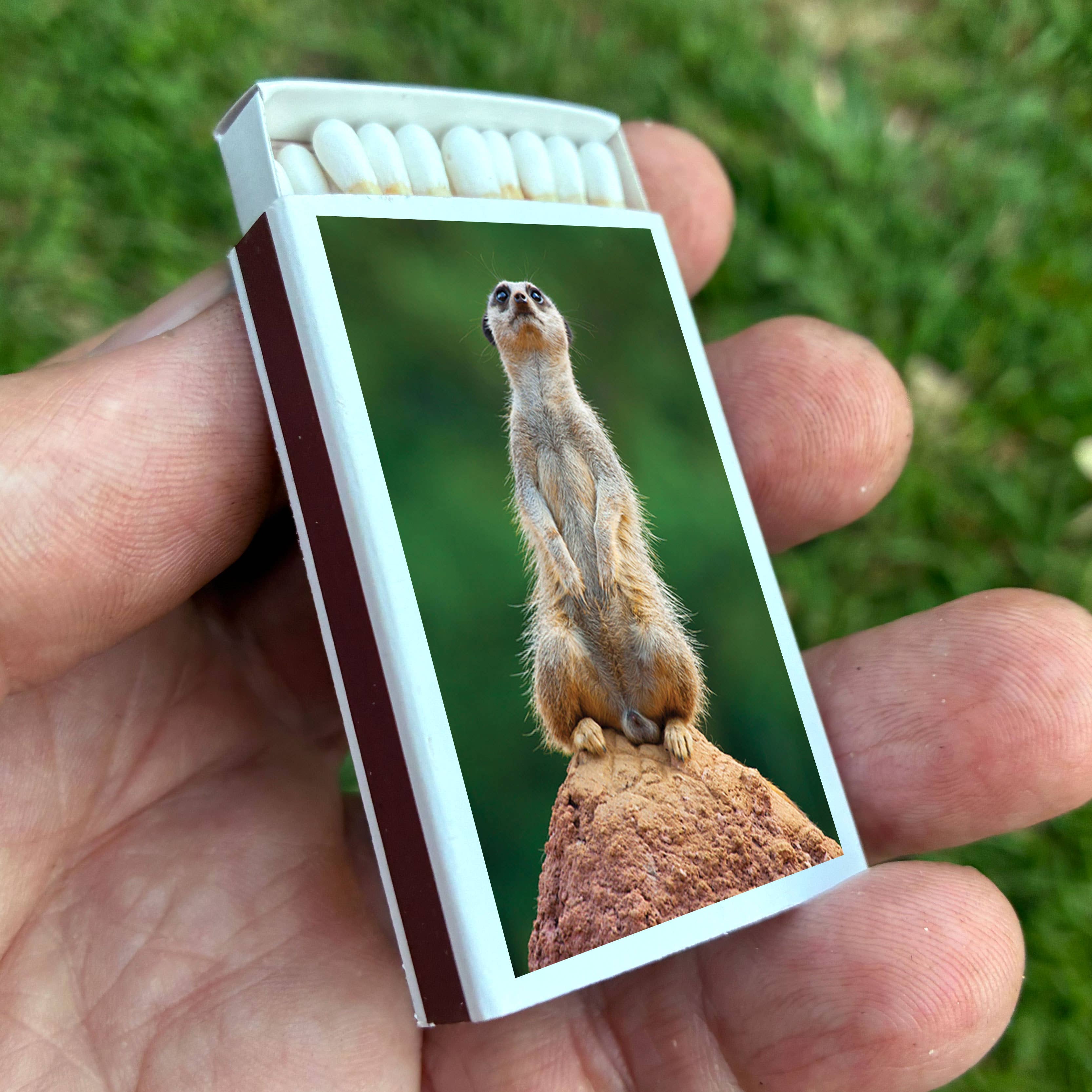MEERKAT MATCHBOX