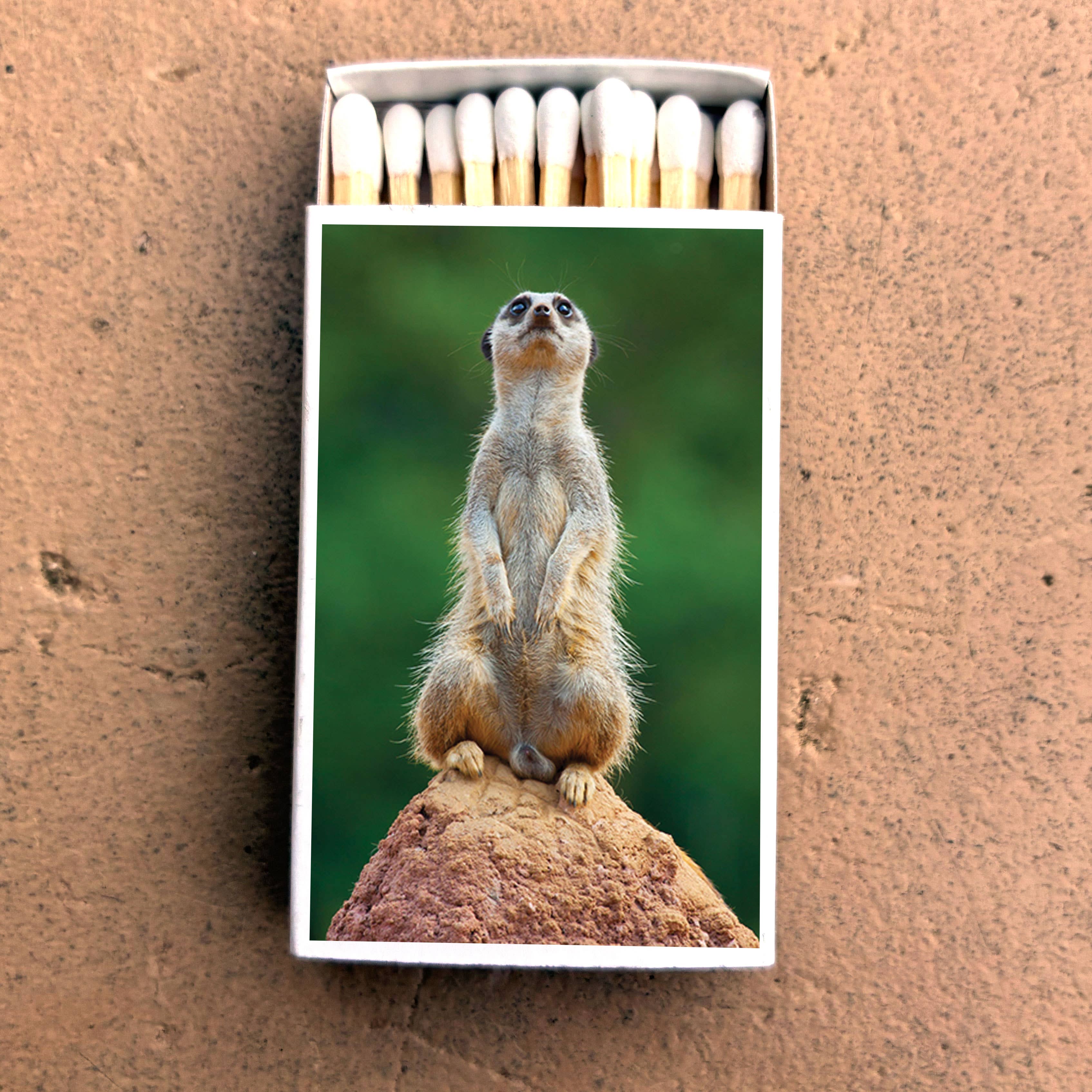 MEERKAT MATCHBOX