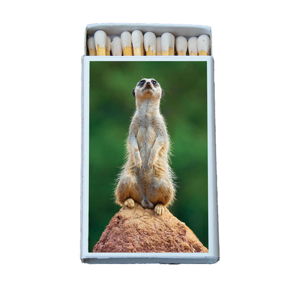 MEERKAT MATCHBOX