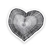 TRUNK HEART STICKER