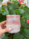 PINK/ORANGE CUP AR