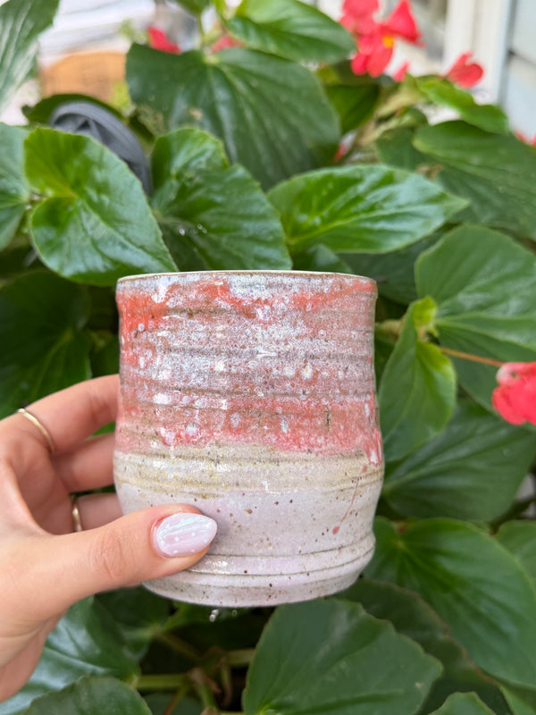 PINK/ORANGE CUP AR