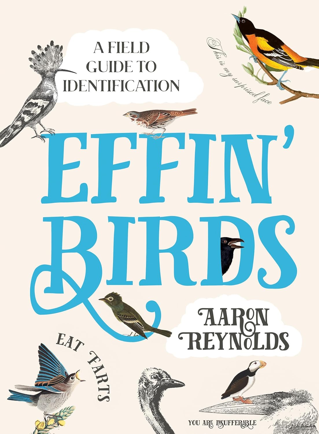 EFFIN' BIRDS BOOK