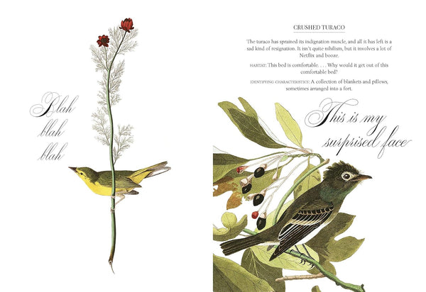 EFFIN' BIRDS BOOK