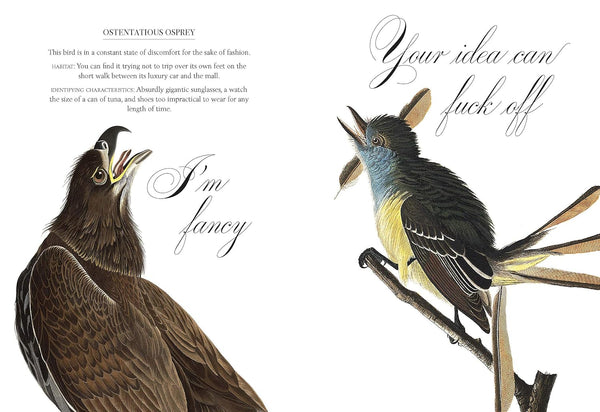 EFFIN' BIRDS BOOK
