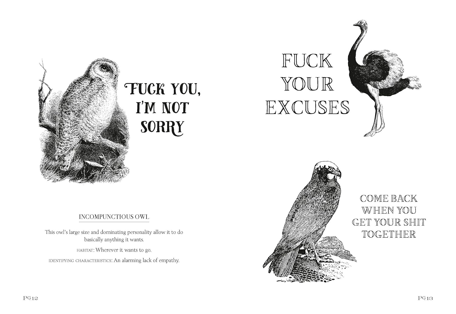 EFFIN' BIRDS BOOK