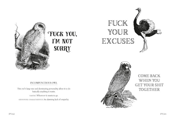 EFFIN' BIRDS BOOK