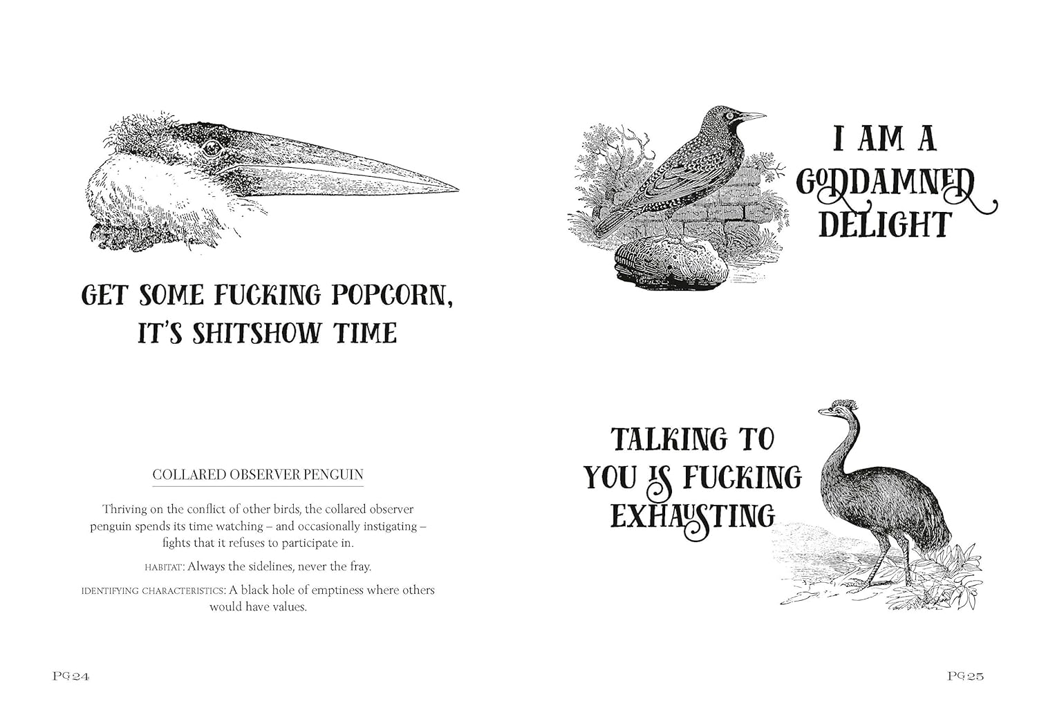 EFFIN' BIRDS BOOK