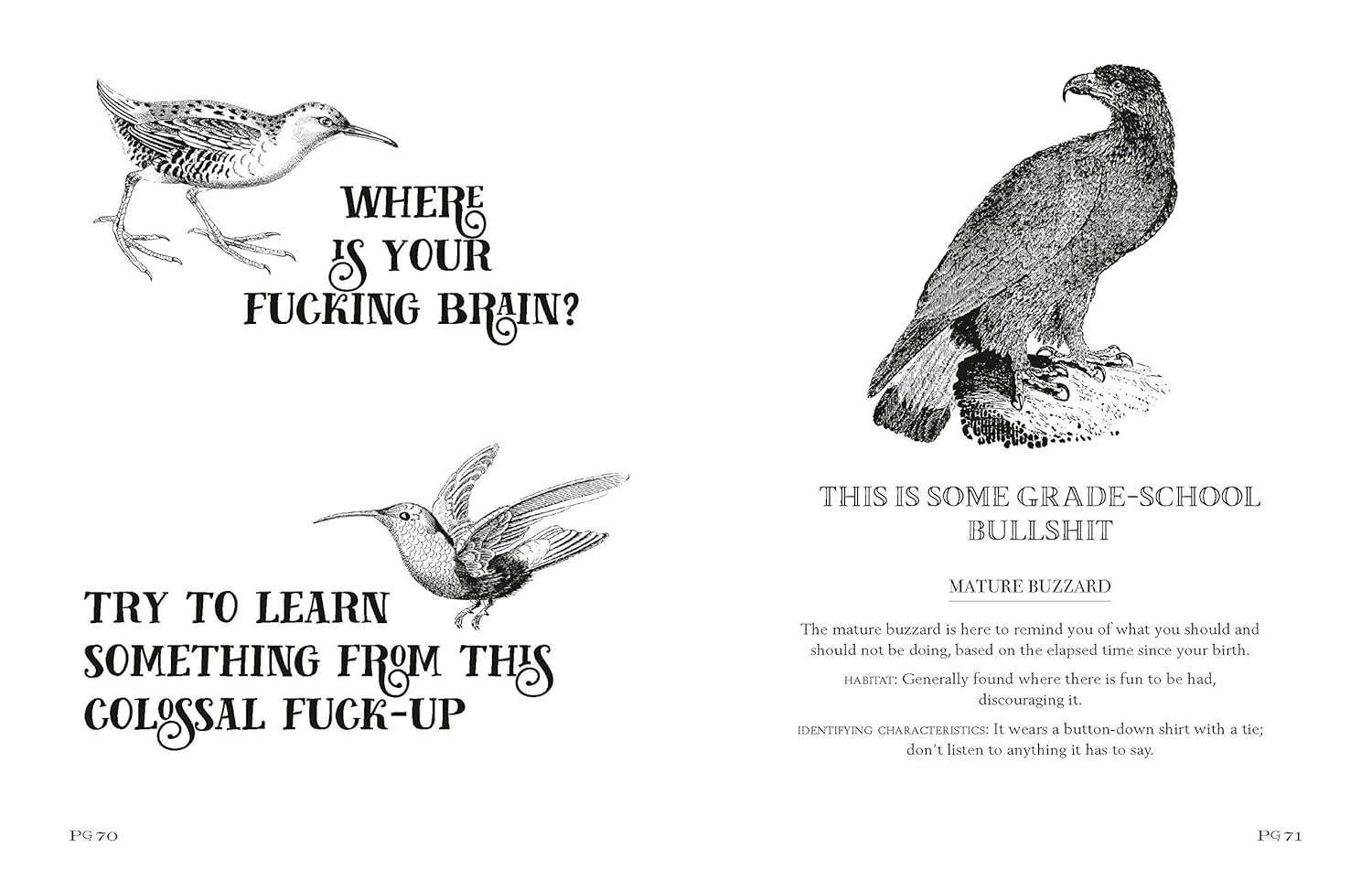 EFFIN' BIRDS BOOK