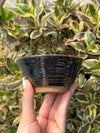 SMALL BOWL AR