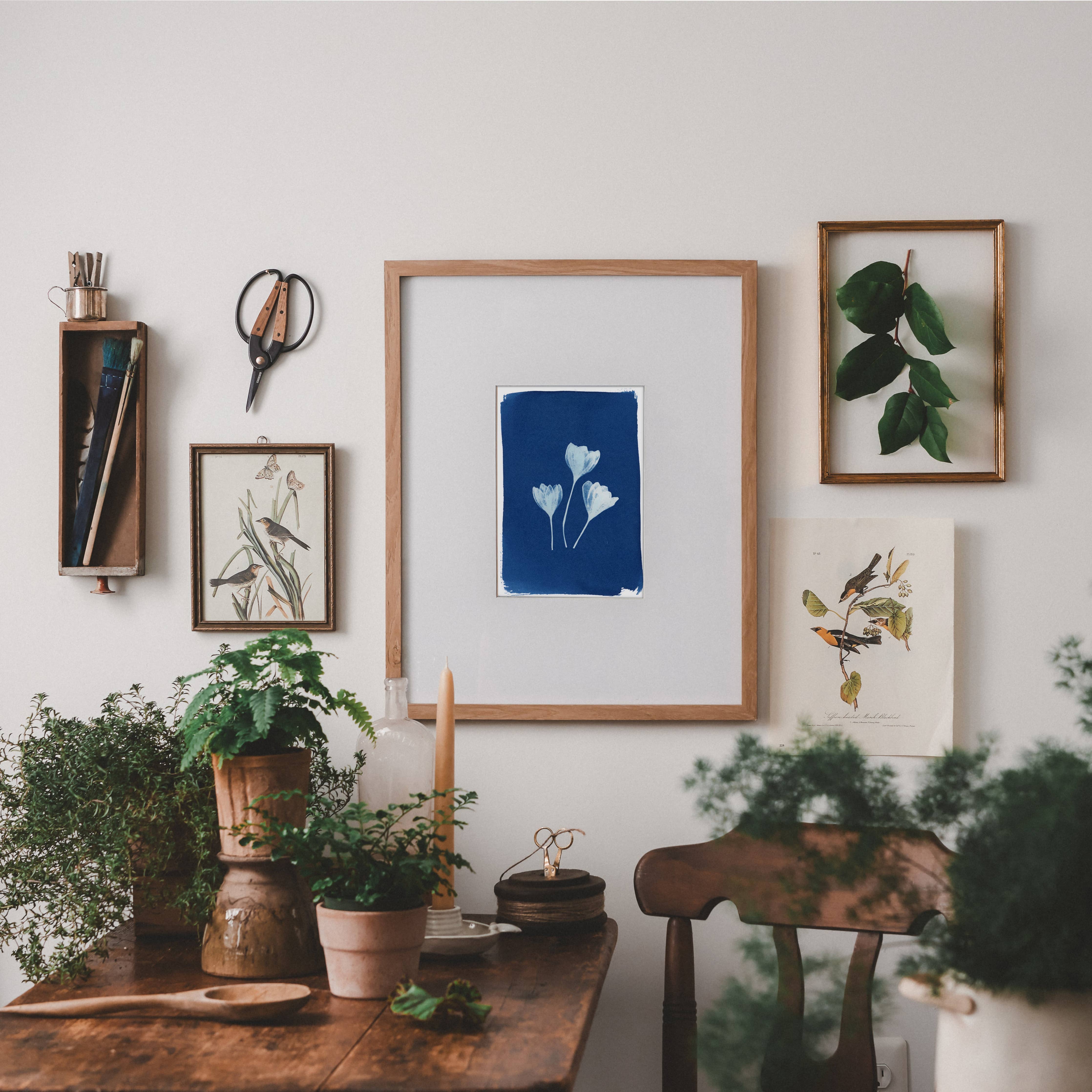 THE THREE OF US | BOTANICAL CYANOTYPE ART PRINT