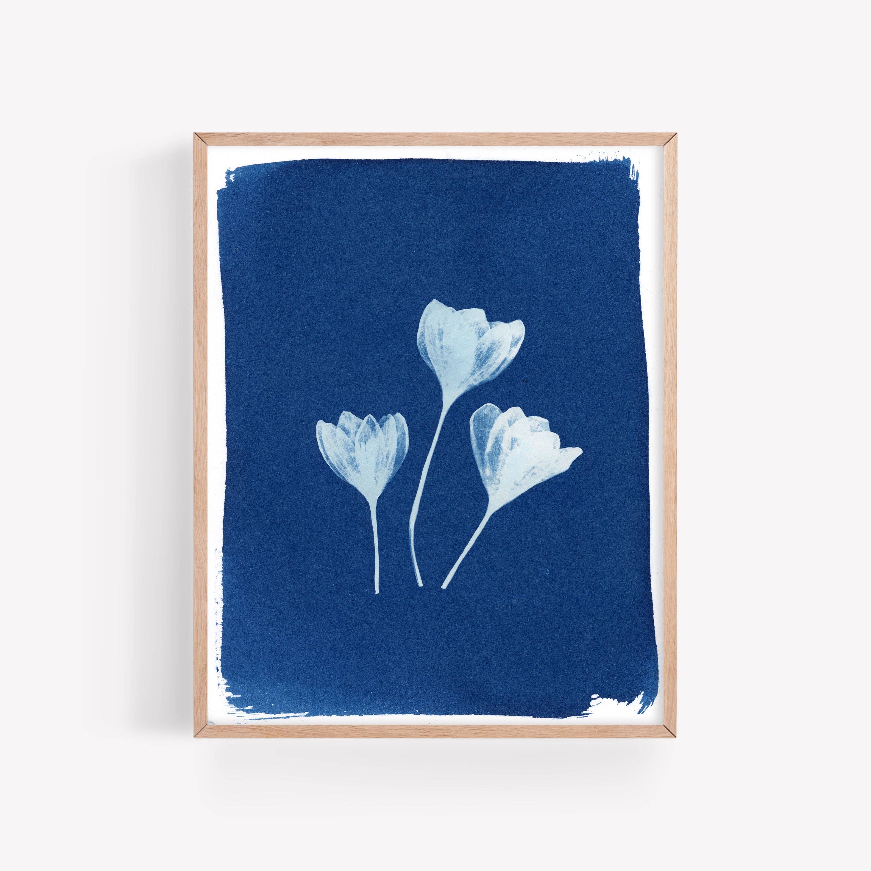 THE THREE OF US | BOTANICAL CYANOTYPE ART PRINT
