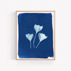 THE THREE OF US | BOTANICAL CYANOTYPE ART PRINT