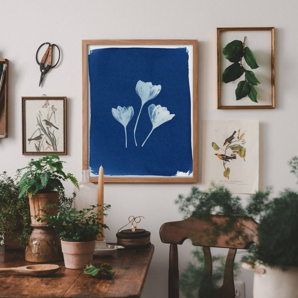 THE THREE OF US | BOTANICAL CYANOTYPE ART PRINT