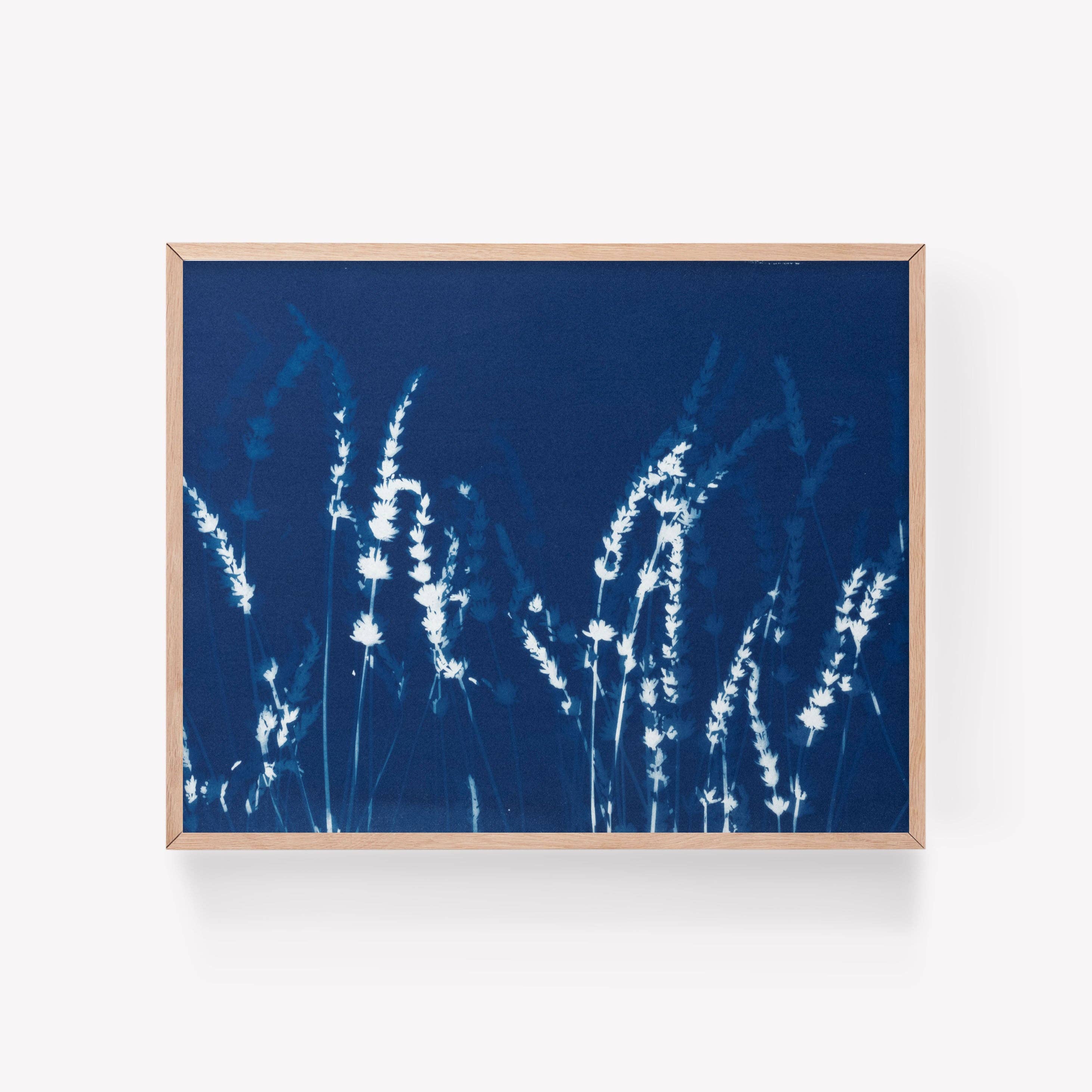 LOST IN THE LAVENDER NO. 5 | BOTANICAL CYANOTYPE ART PRINT