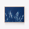 LOST IN THE LAVENDER NO. 5 | BOTANICAL CYANOTYPE ART PRINT