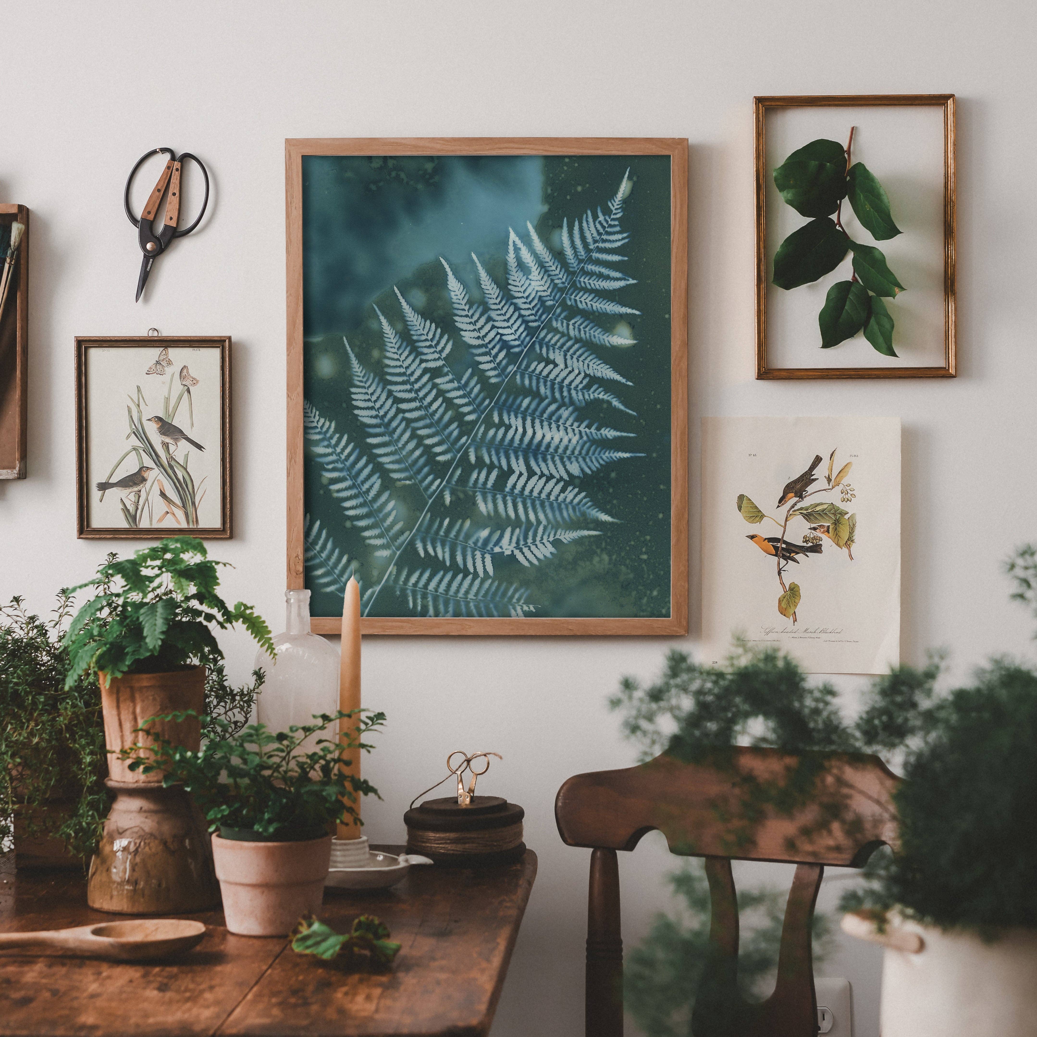 RAINY DAY FERN | BOTANICAL CYANOTYPE ART PRINT