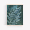 RAINY DAY FERN | BOTANICAL CYANOTYPE ART PRINT