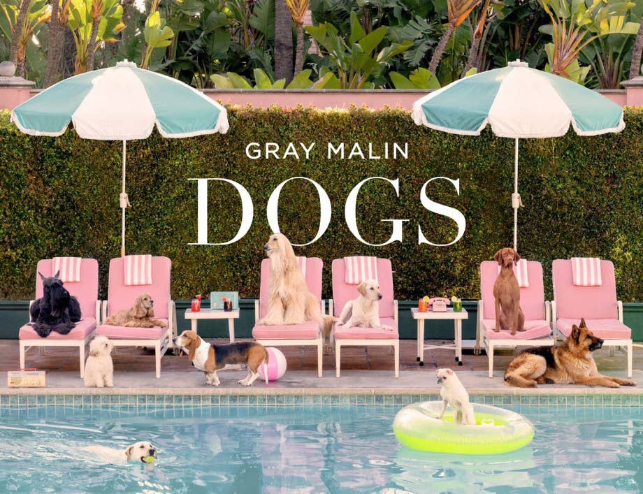 GRAY MALIN: DOGS