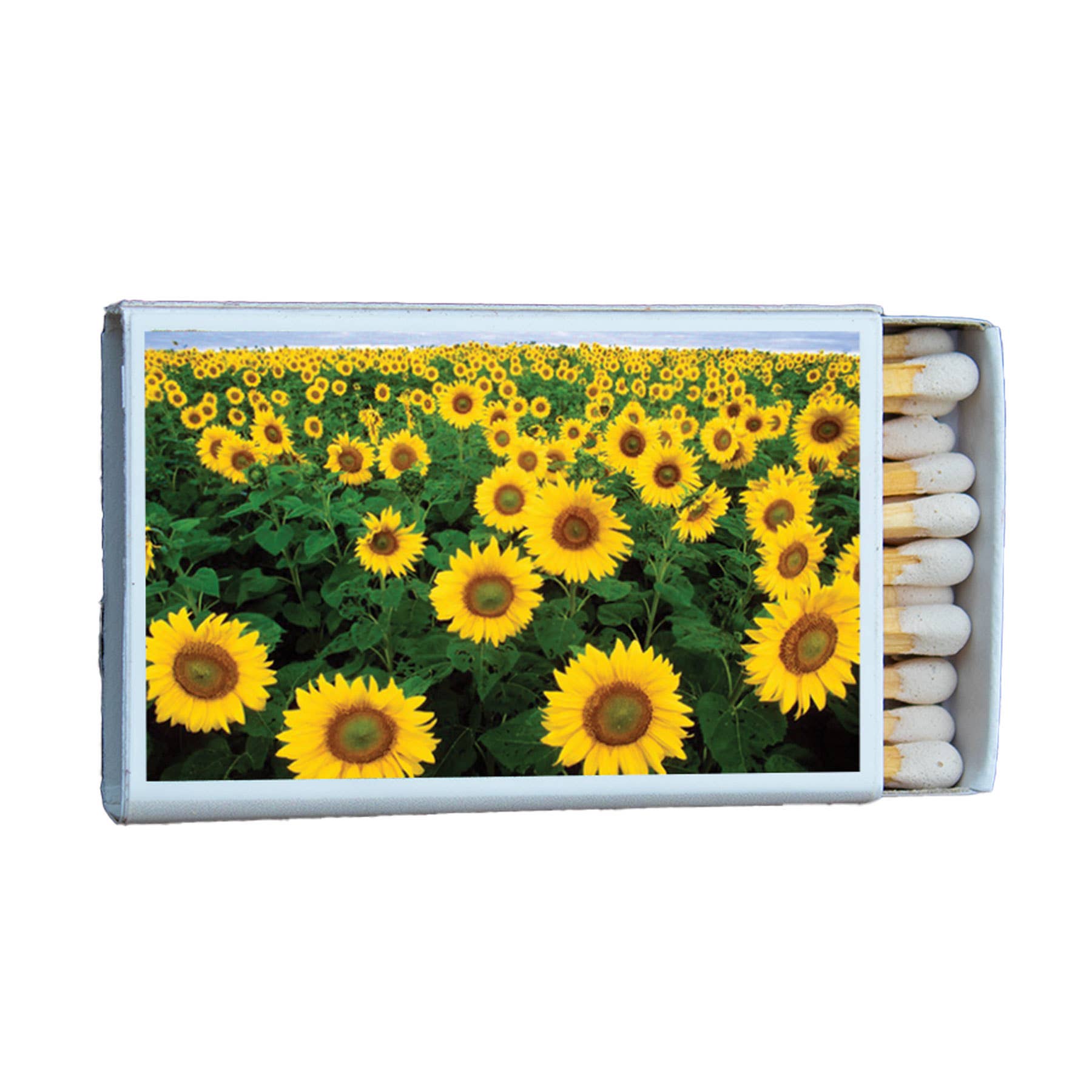 MATCHES • FLOWERS SUNFLOWER