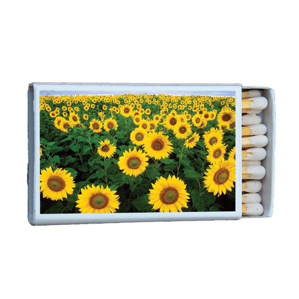MATCHES • FLOWERS SUNFLOWER