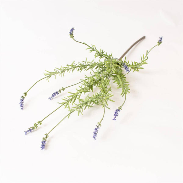 STEM - GARDEN LAVENDER