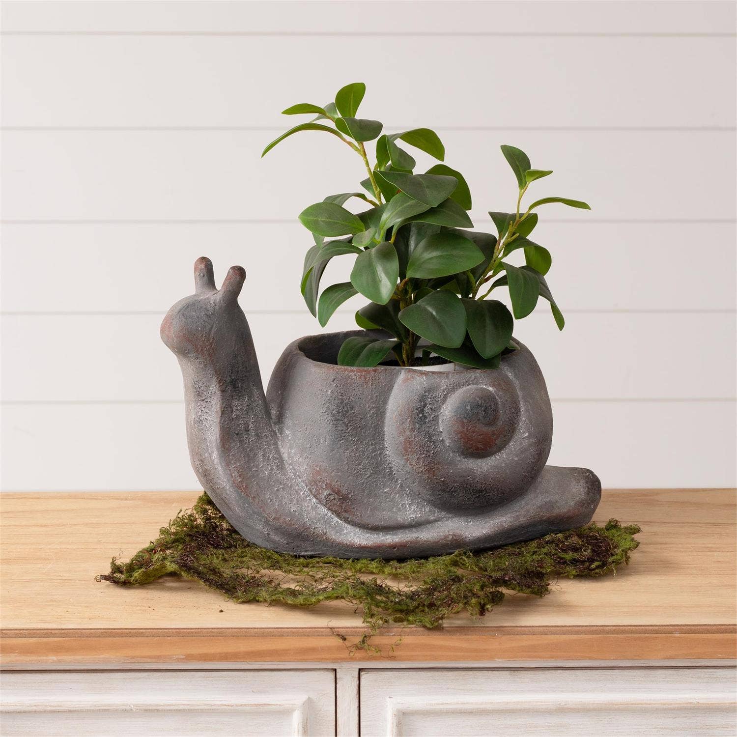 PLANTER - SNAIL XLARGE