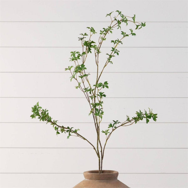 BRANCH - BLOOMING ENKIANTHUS