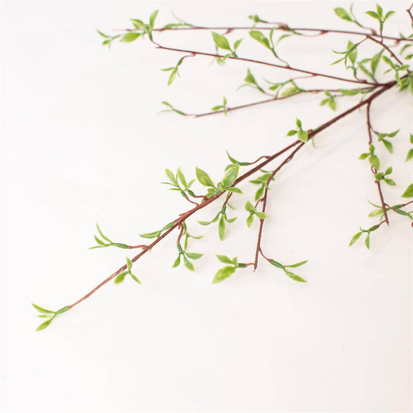 BRANCH - WILLOW BUDS