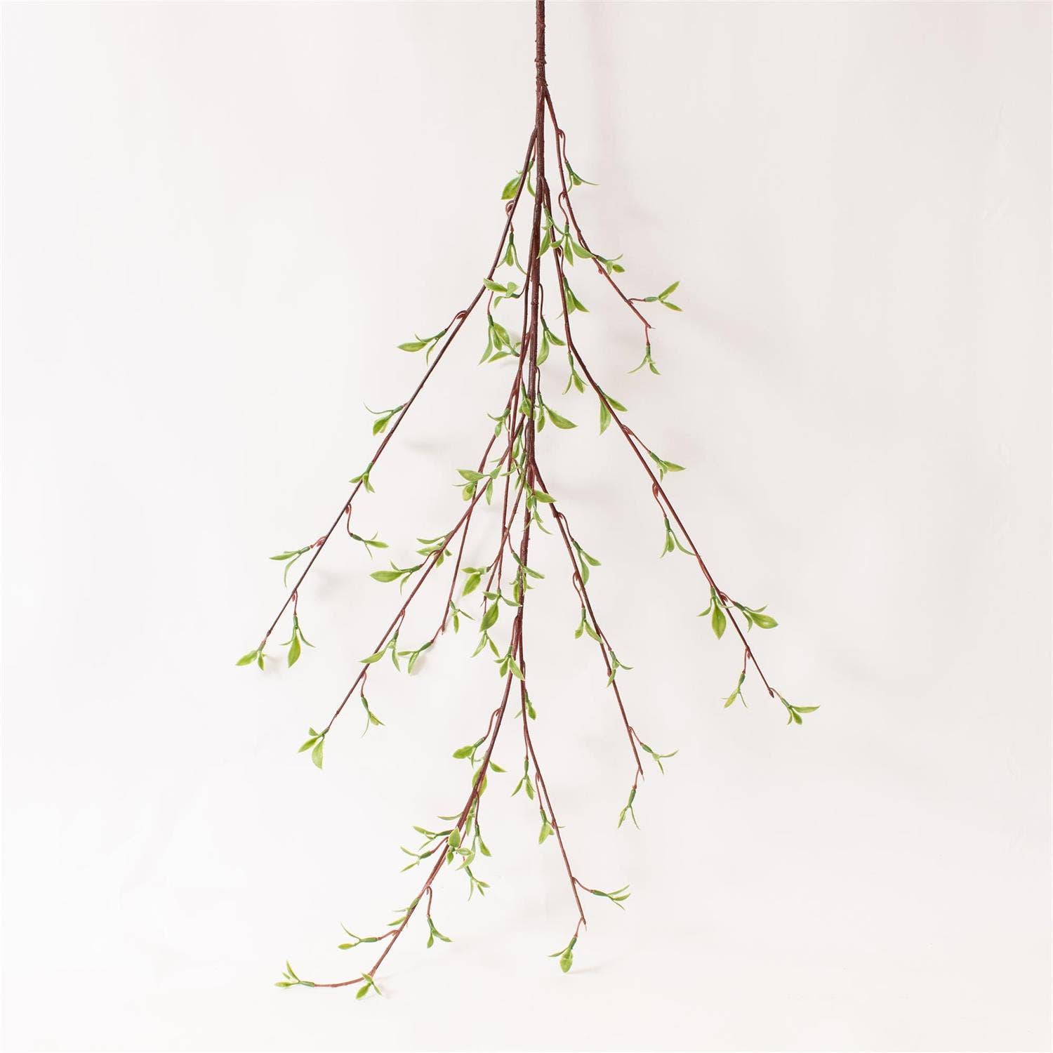 BRANCH - WILLOW BUDS