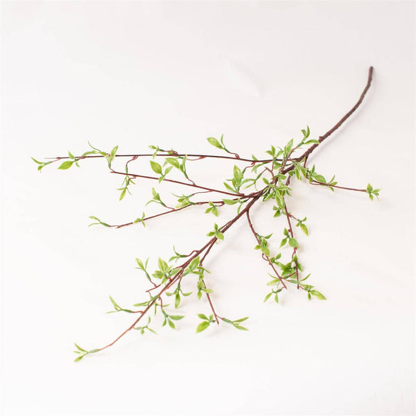 BRANCH - WILLOW BUDS