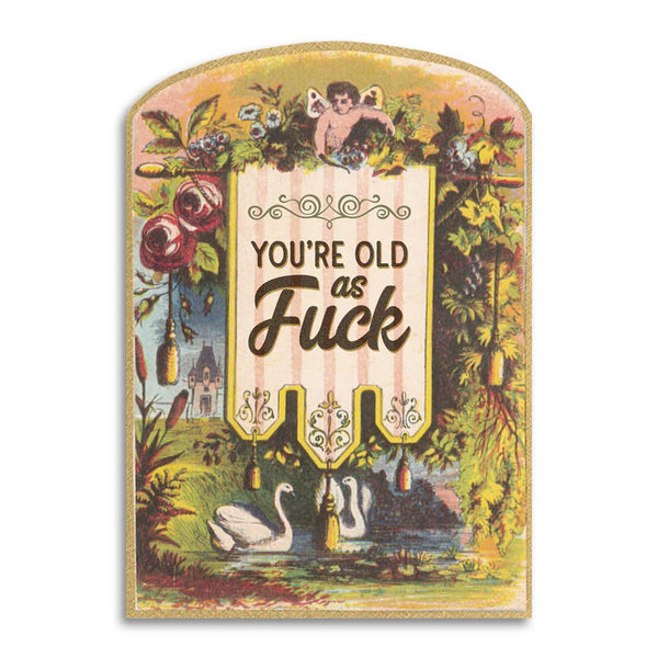 YOU'RE OLD AS FUCK - VINTAGE BIRTHDAY CARD