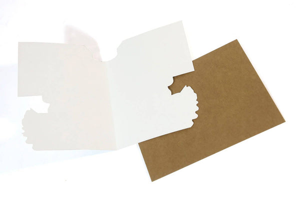 BIRTHDAY CARD CLOSER TO CRAZY CAT LADY