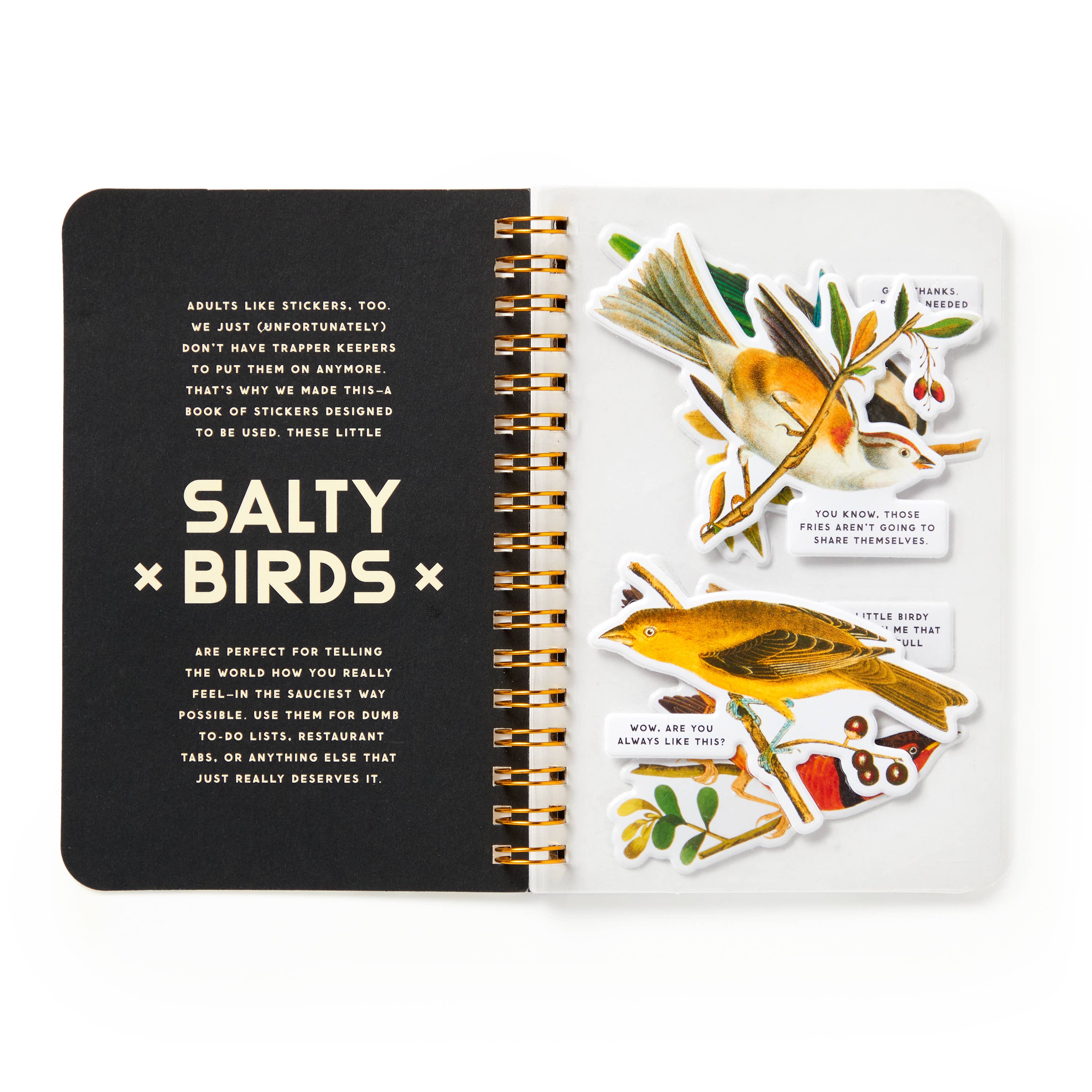 BRASS MONKEY SALTY BIRDS STICKER BOOK