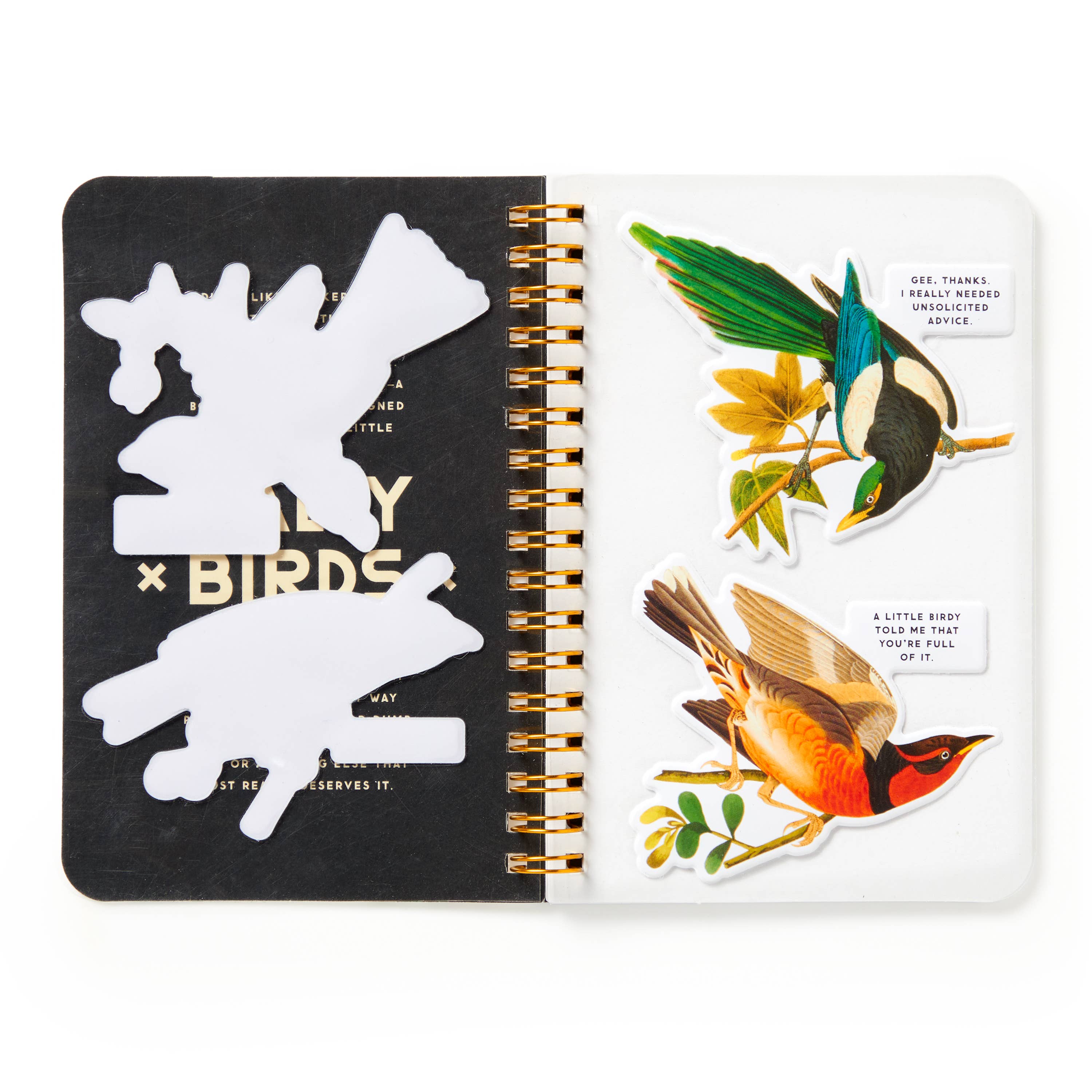 BRASS MONKEY SALTY BIRDS STICKER BOOK
