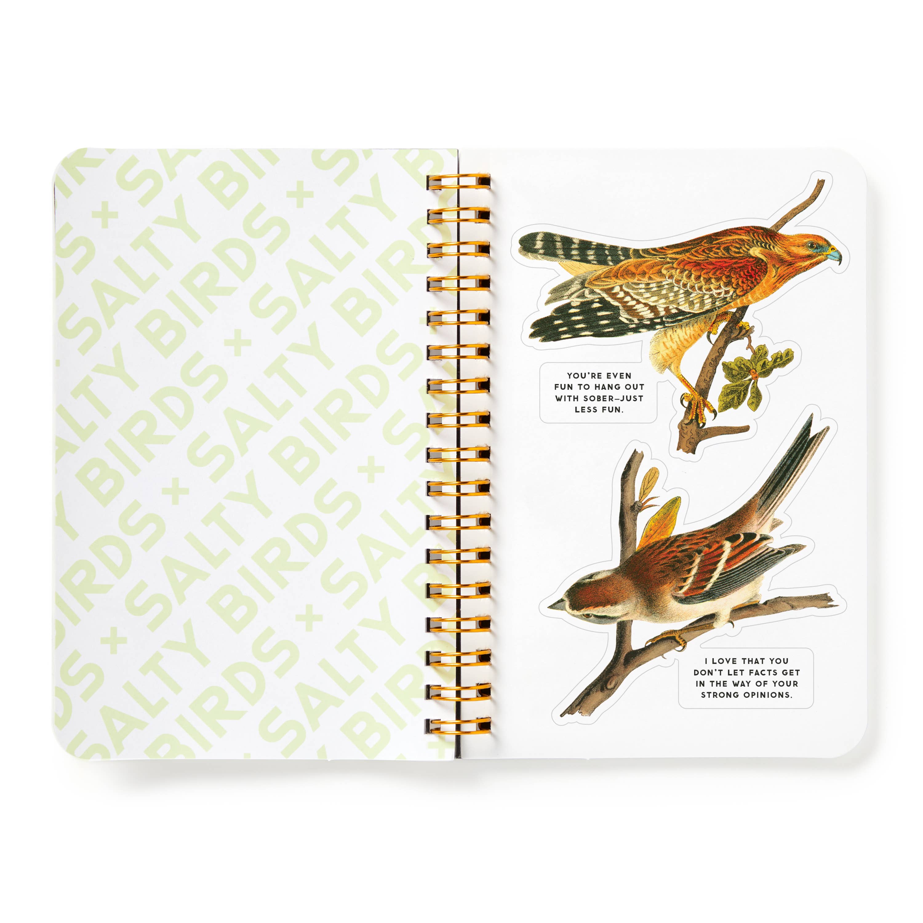BRASS MONKEY SALTY BIRDS STICKER BOOK