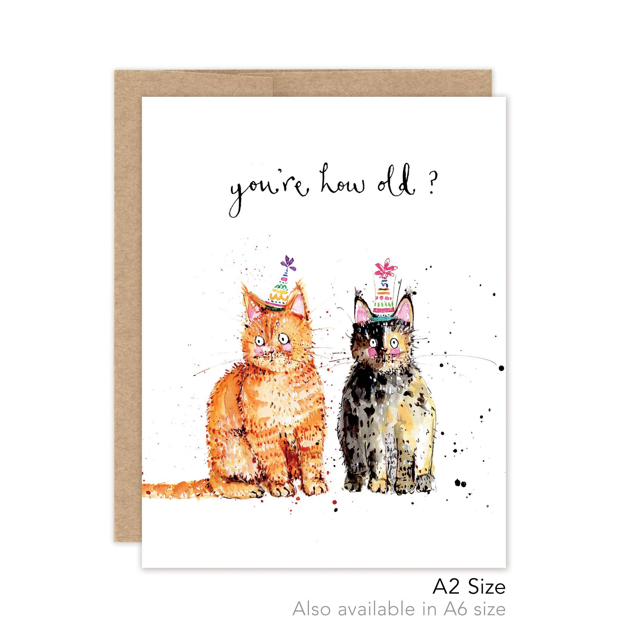 CATS HOW OLD? BIRTHDAY - LUXE A2 CARD