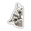PEEKING CAT STICKERS