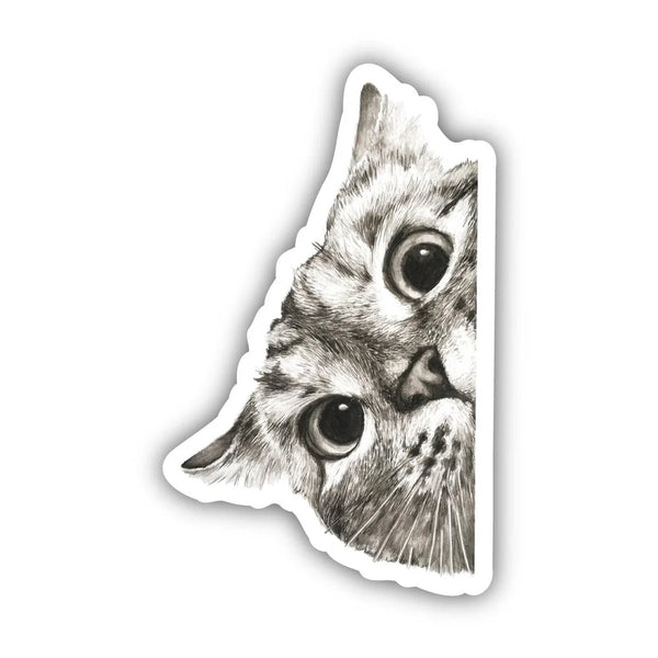 PEEKING CAT STICKERS